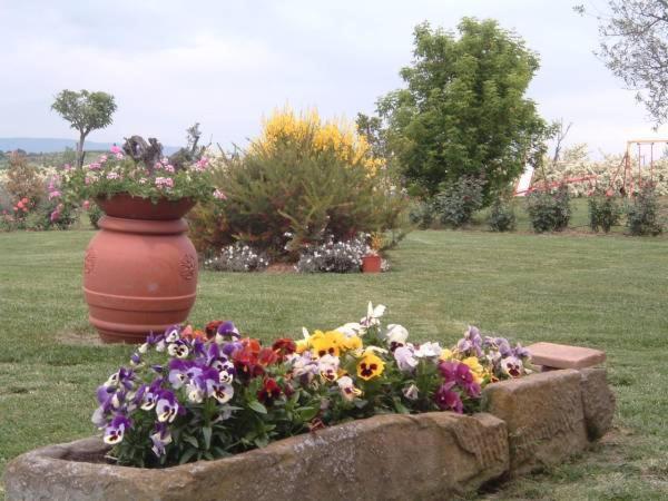 Agriturismo I Romiti Castiglione del Lago Exteriér fotografie
