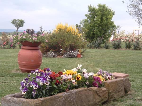 Vila Agriturismo I Romiti Castiglione del Lago Exteriér fotografie