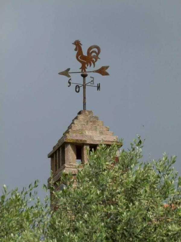 Agriturismo I Romiti Castiglione del Lago Exteriér fotografie